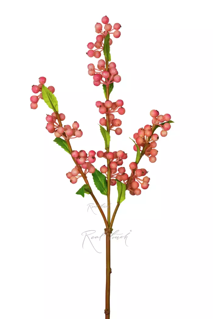 Снежноягодник Аметист - Светло-розовый