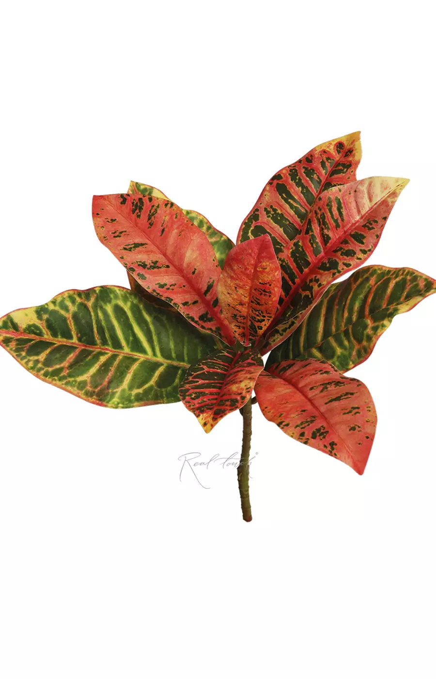 Ветка кротона малая - Красный