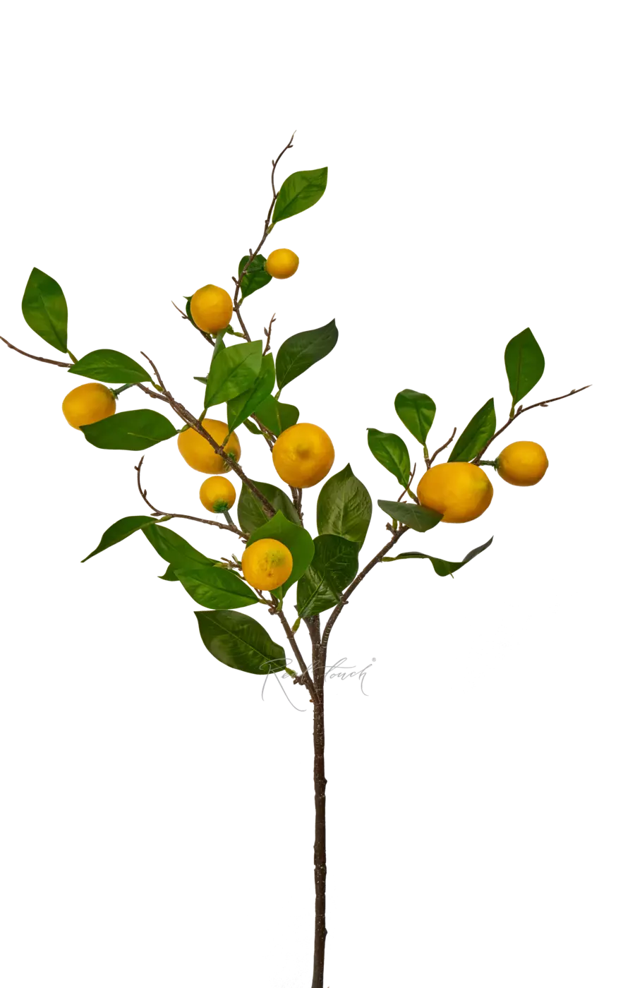 Ветка с лимонами - Желтый