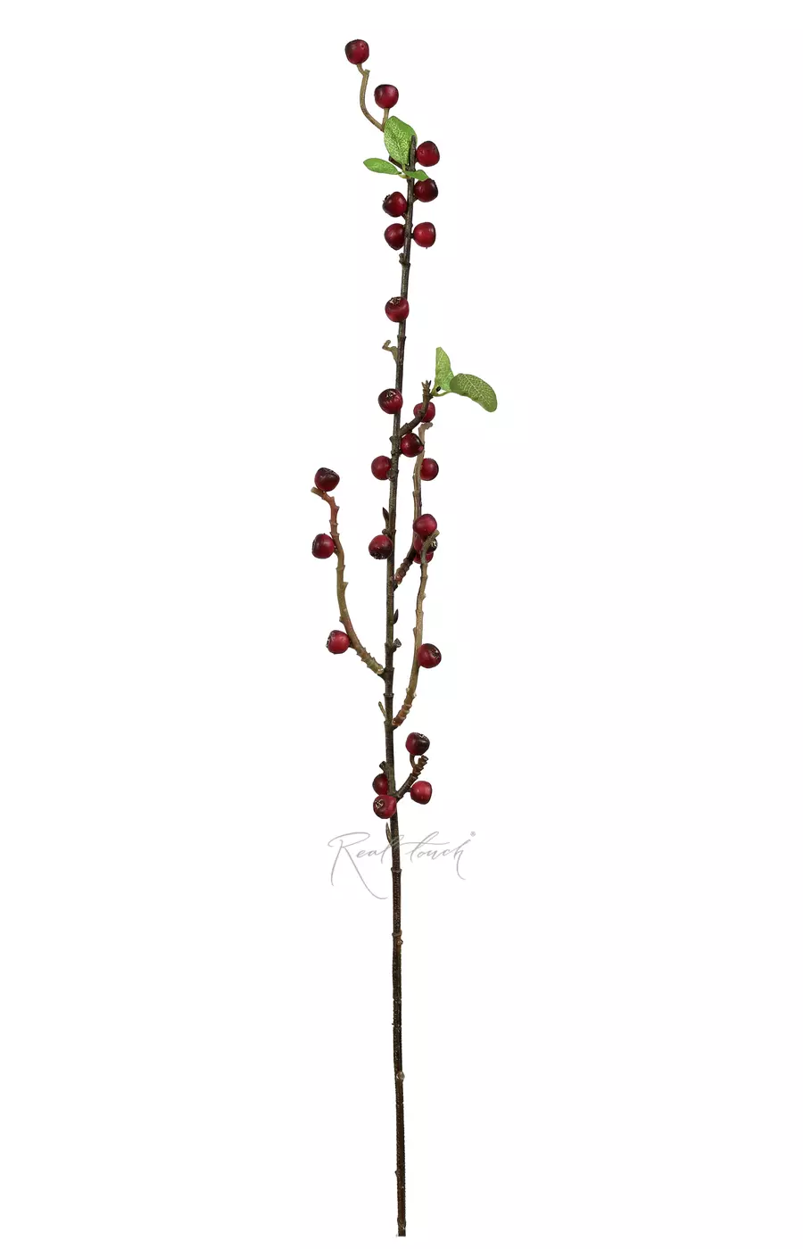 Ветка с ягодами (облепиха) - Бордо