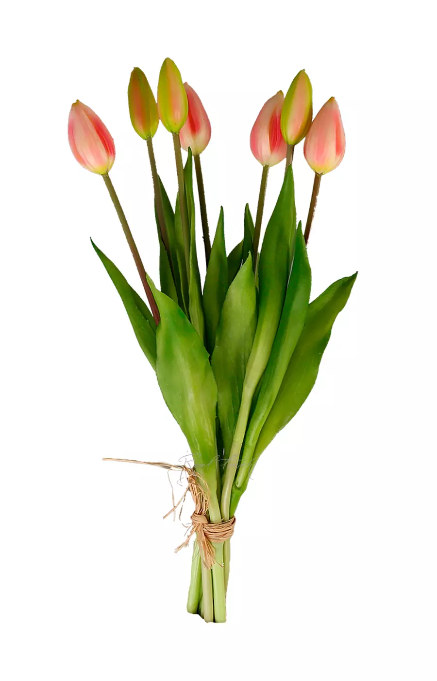 Букет закрытых тюльпанов 4+3 - Розовый