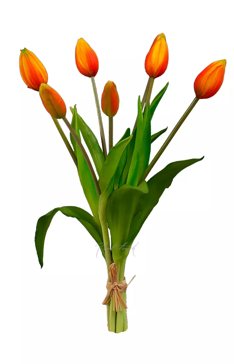 Букет закрытых тюльпанов 4+3 - Оранжевый