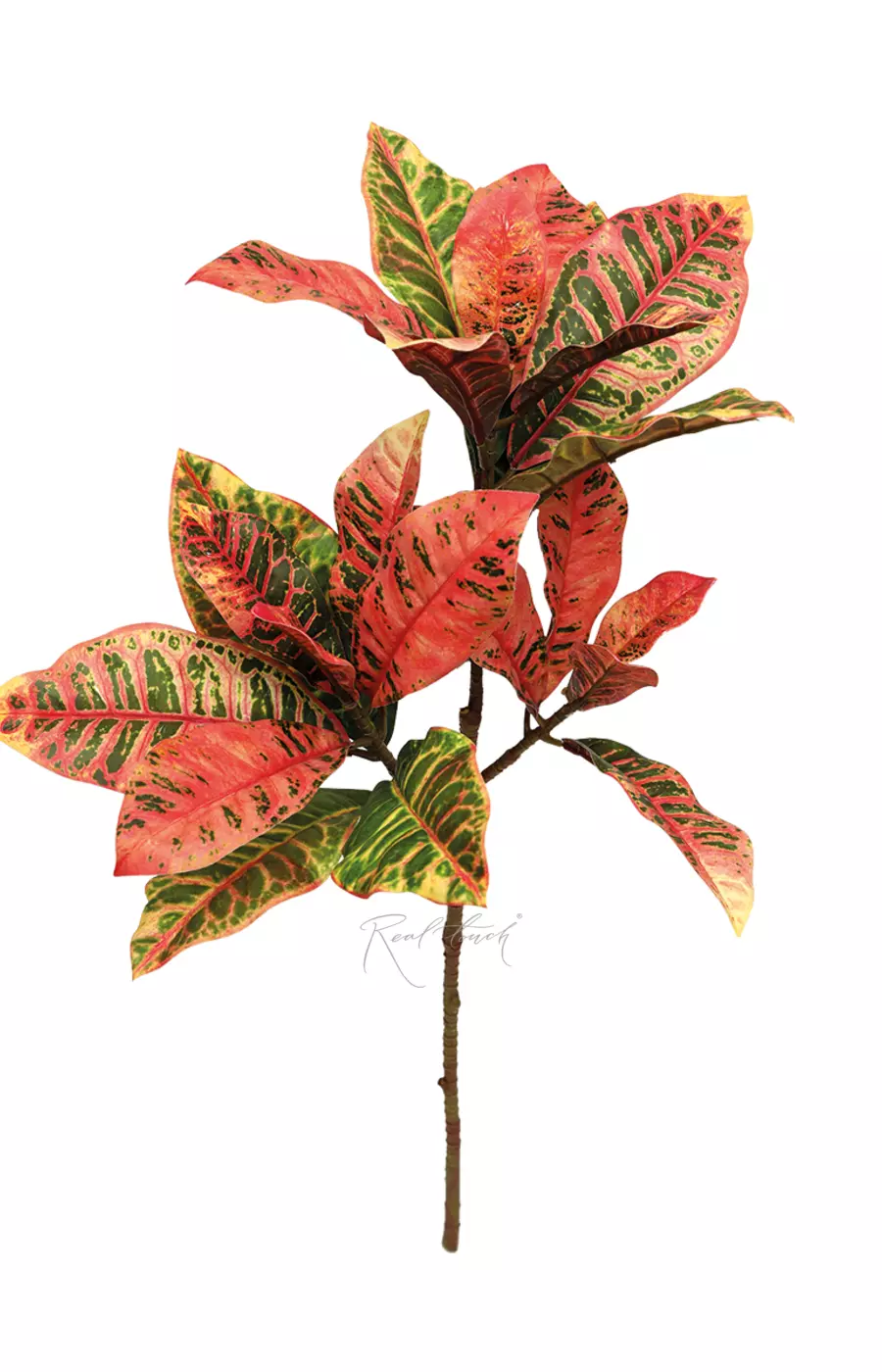 Ветка кротона большая - Красный