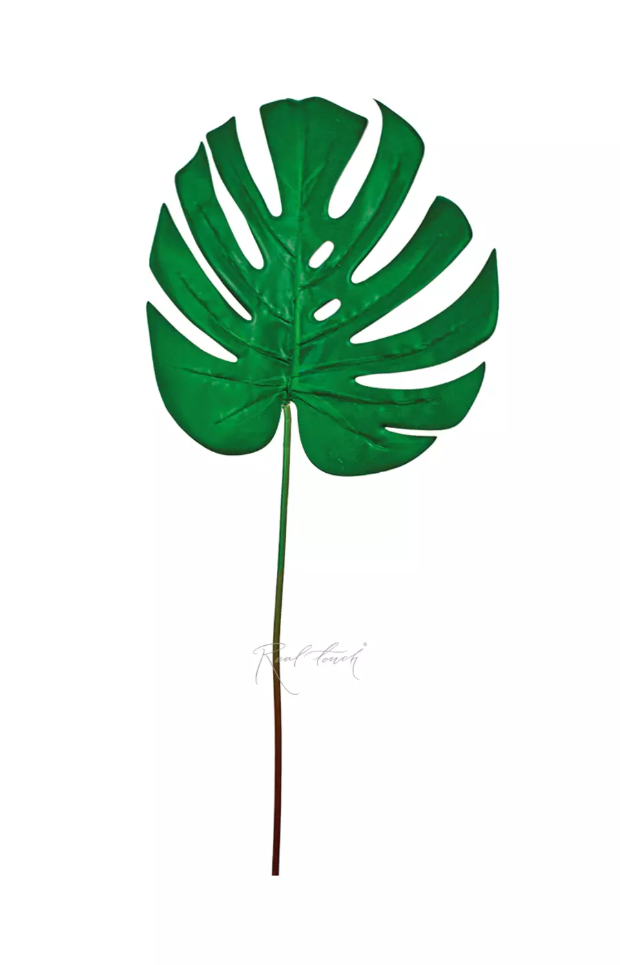 Лист монстеры 3D средний - Зеленый