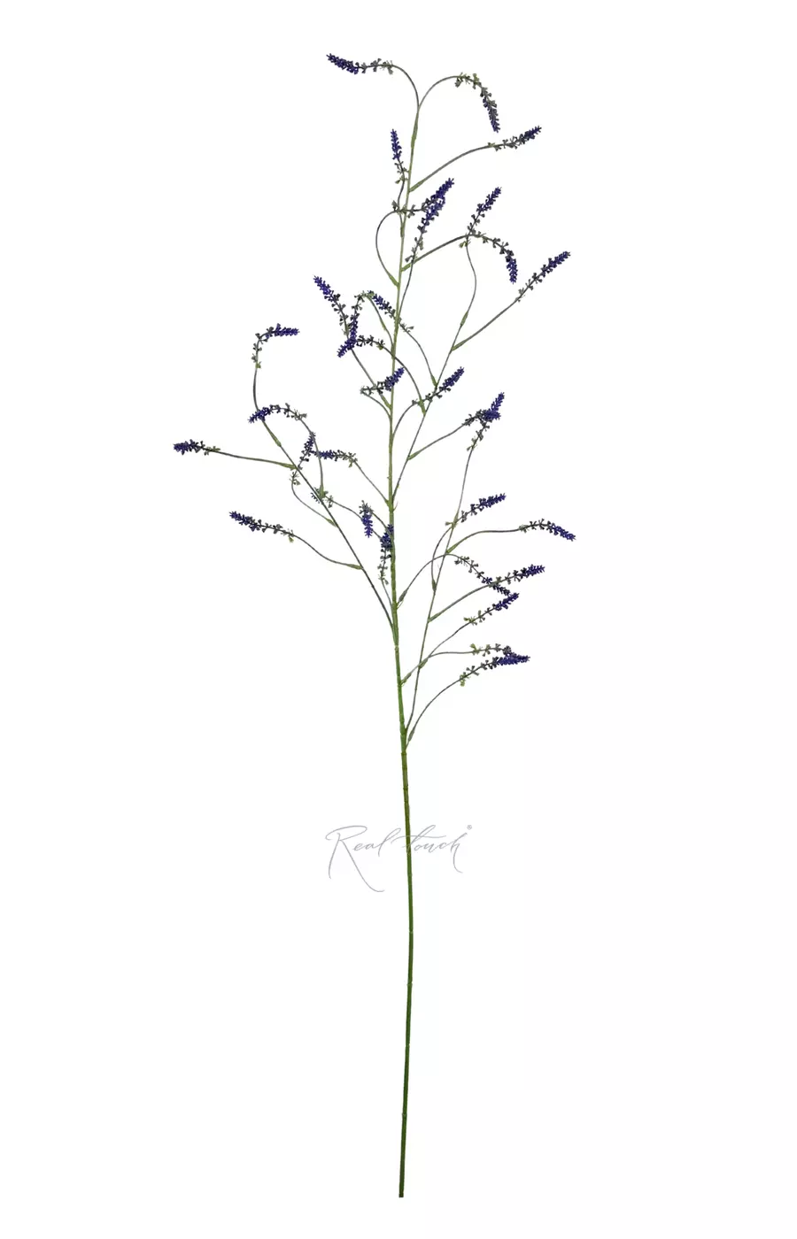 Донник 125 см - Голубо-фиолетовый