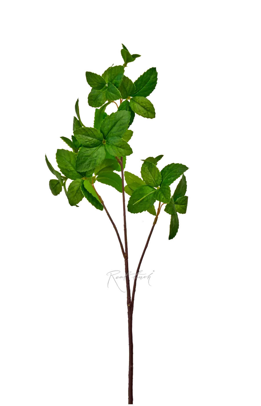 Ветка мяты малая - Зеленый Ветка мяты малая - Зеленый