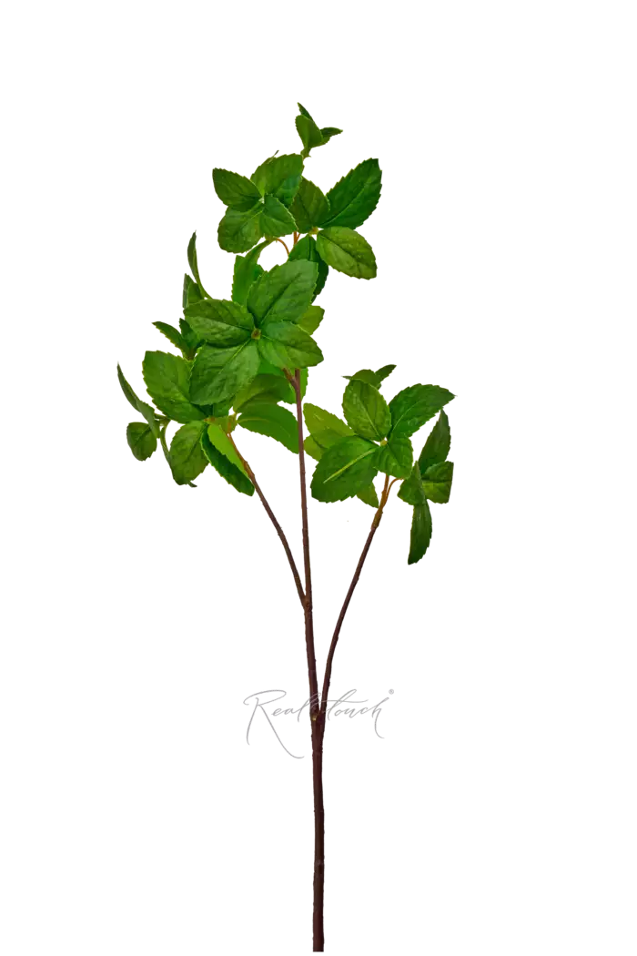 Ветка мяты малая - Зеленый