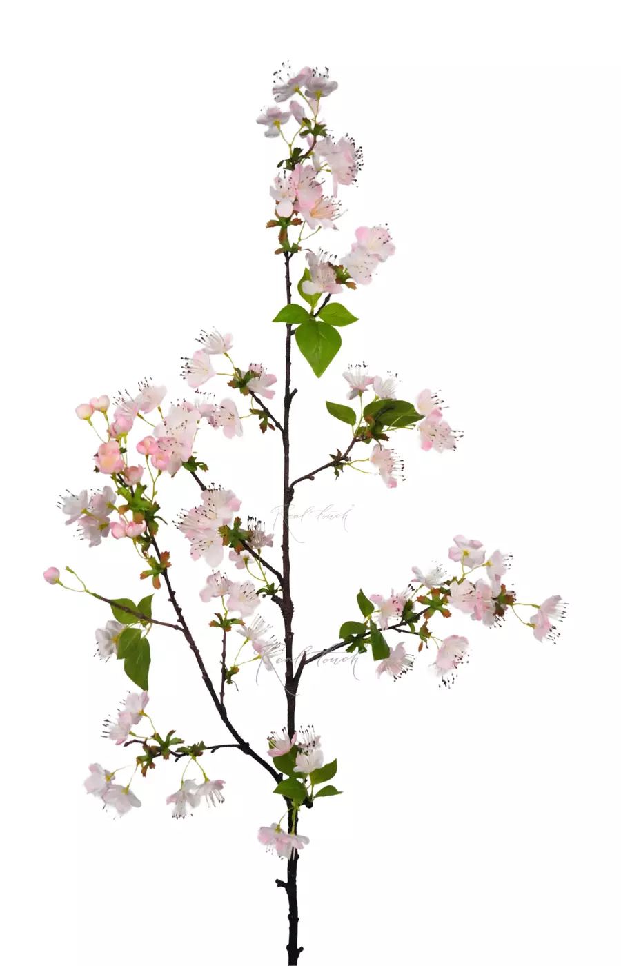 Ветка цветущей груши - Светло-розовый Ветка цветущей груши - Светло-розовый