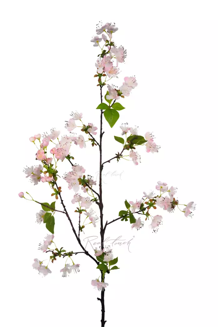 Ветка цветущей груши - Светло-розовый Ветка цветущей груши - Светло-розовый