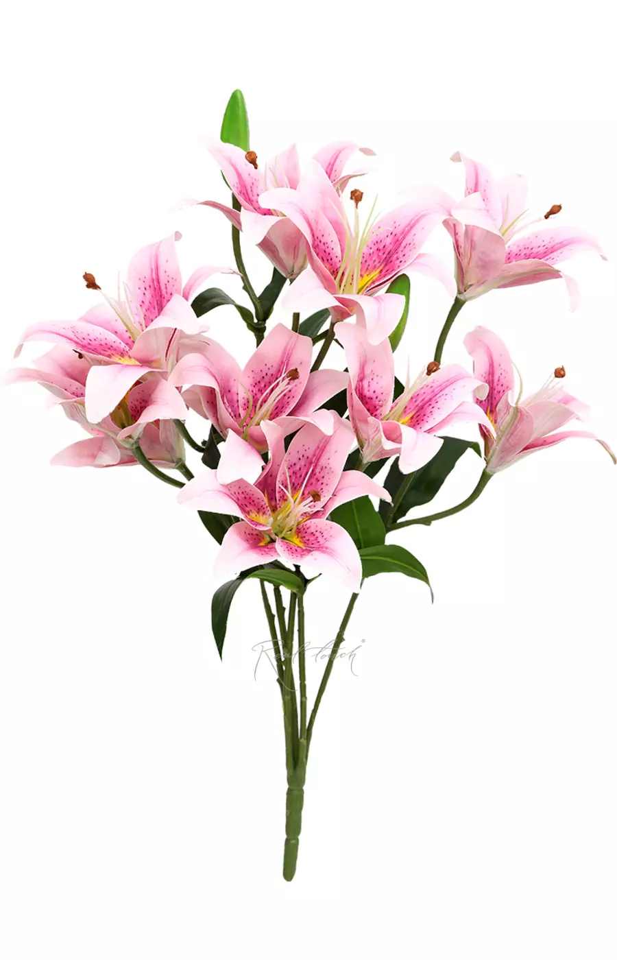 Куст с цветами лилии (9 бутонов) - Бело-розовый