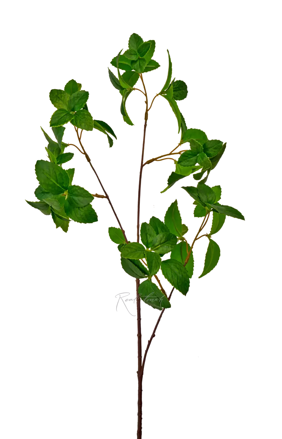 Ветка мяты средняя - Зеленый Ветка мяты средняя - Зеленый