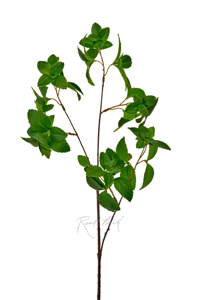 Ветка мяты средняя - Зеленый