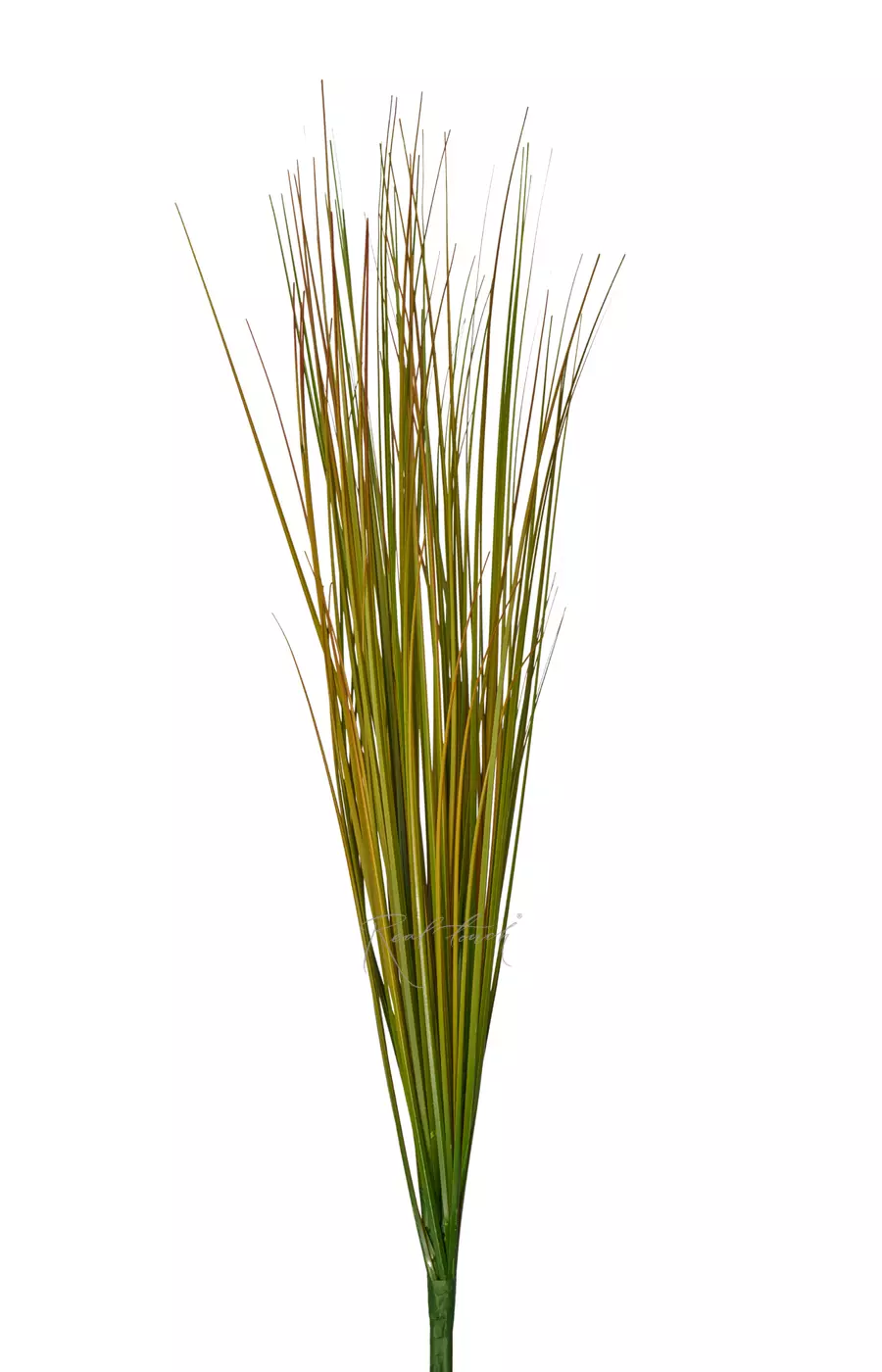 Пучок тонкой травы 68см - Зелено-коричневый Пучок тонкой травы 68см - Зелено-коричневый