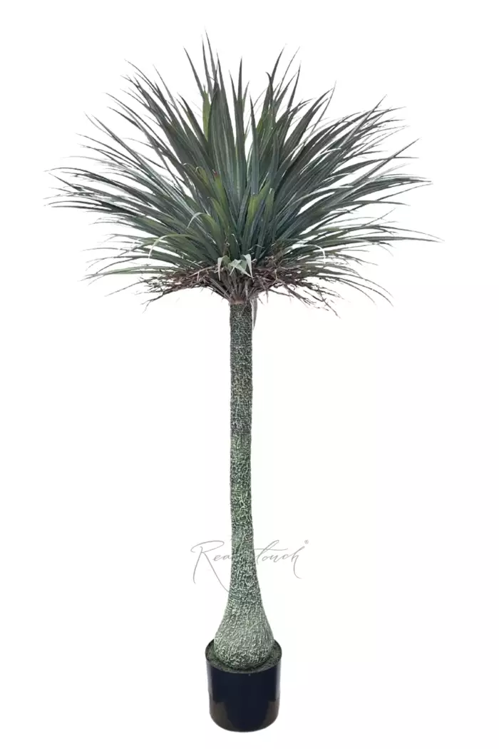 Нолина в кашпо 195см - Зеленый Нолина в кашпо 195см - Зеленый