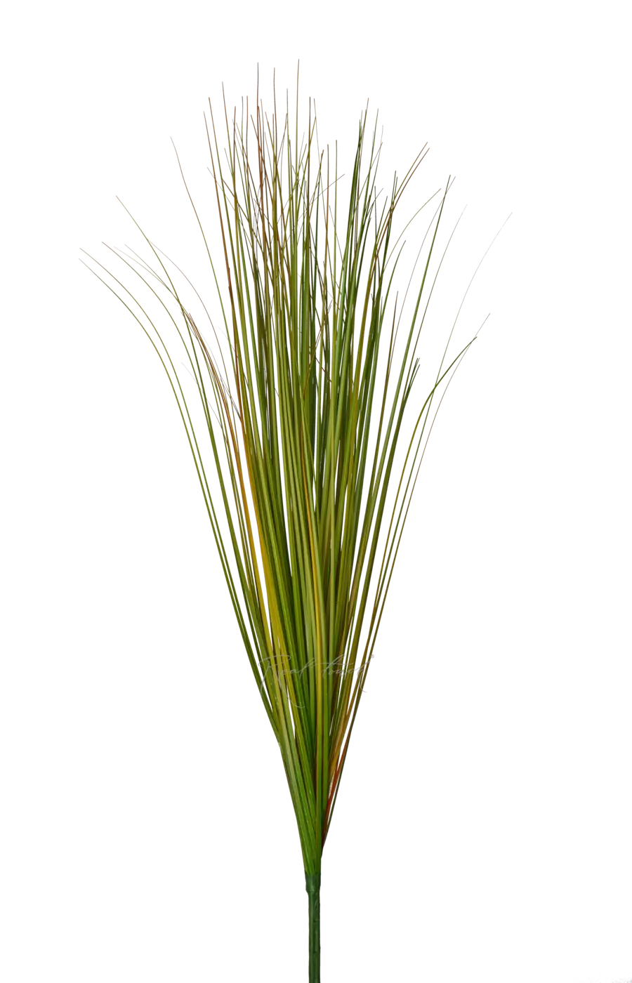 Пучок тонкой травы 90см - Зелено-коричневый