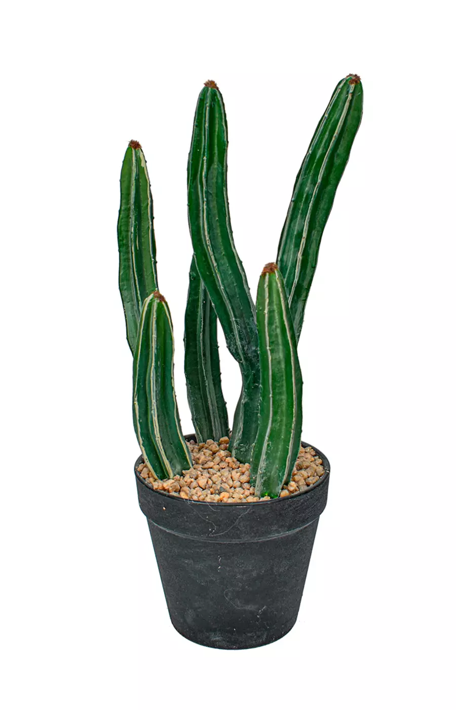 Кактус Султан 36см - Темно-зеленый Кактус Султан 36см - Темно-зеленый