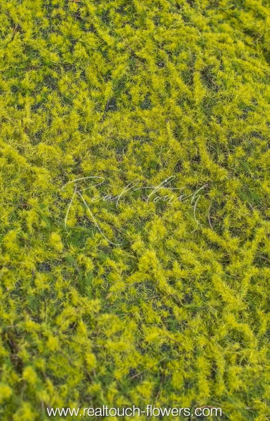 Коврик мха на войлоке 046, 1*1 м (с равномерными кочками) - Зеленый