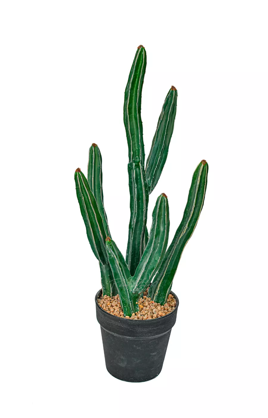 Кактус Султан 51см - Темно-зеленый Кактус Султан 51см - Темно-зеленый