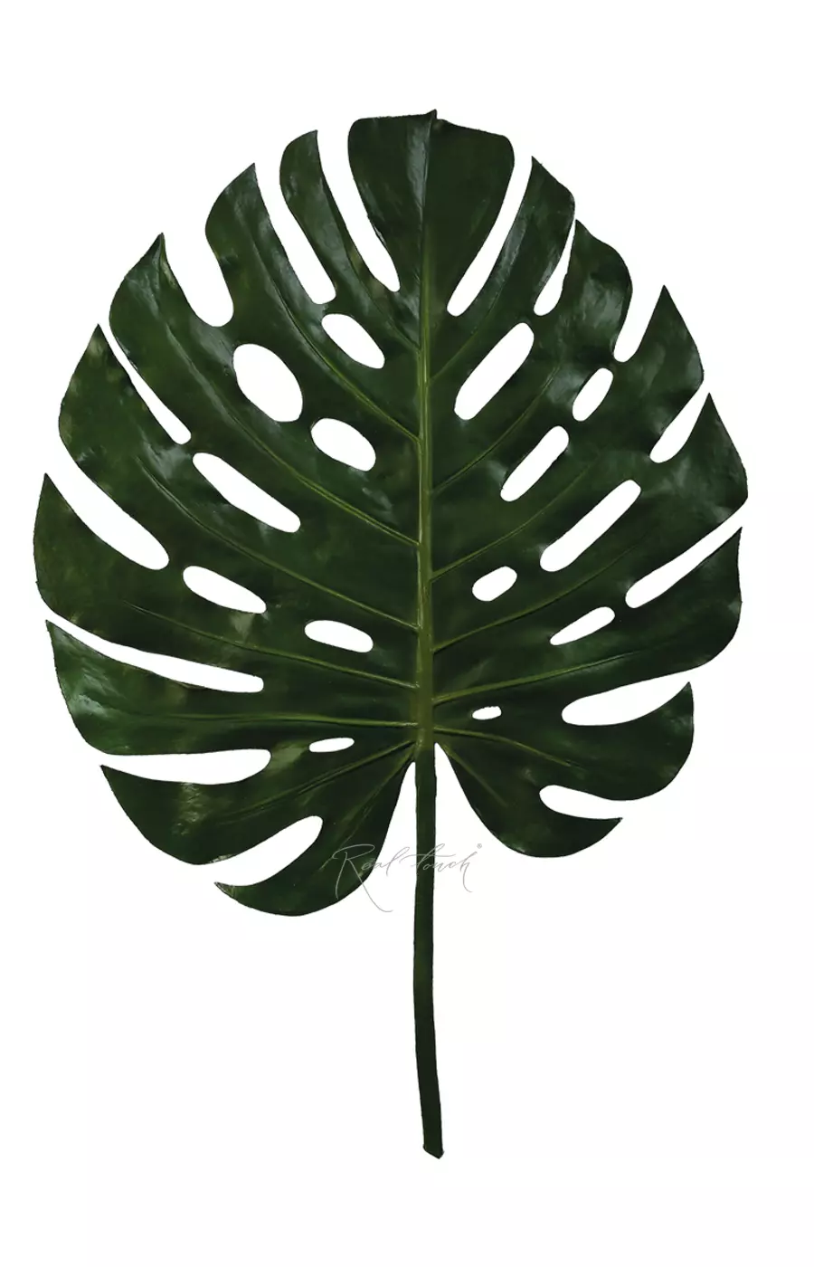Лист монстеры SPU гигант - Зеленый