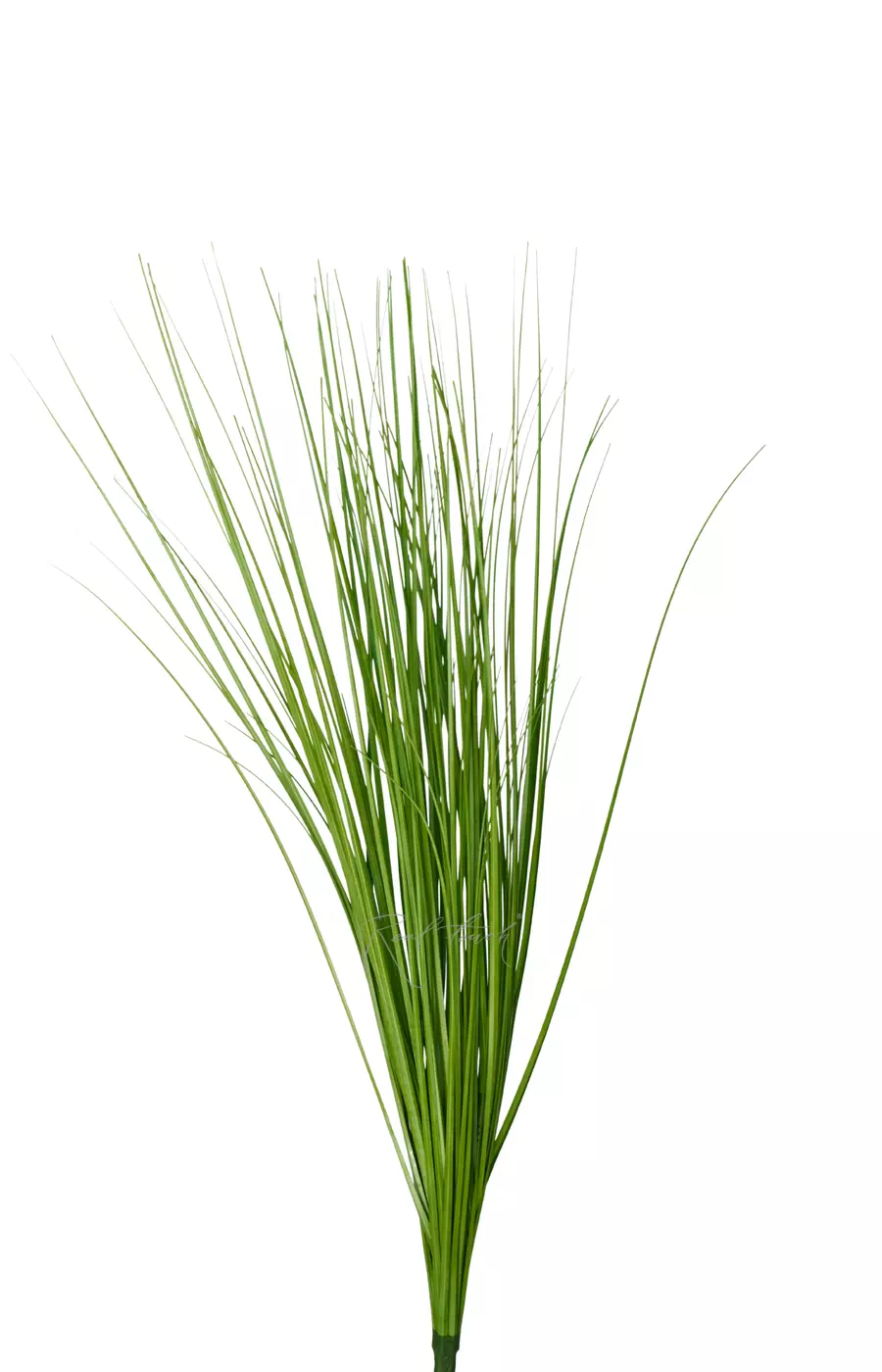 Пучок тонкой травы 68см - Зеленый