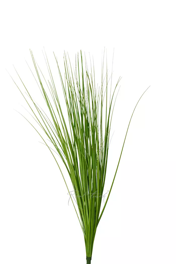 Пучок тонкой травы 68см - Зеленый Пучок тонкой травы 68см - Зеленый