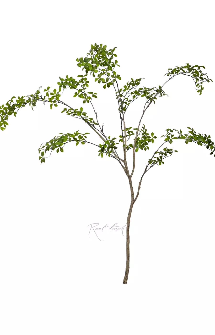 Баньяновое дерево ветвь 220 см без кашпо - Зеленый Баньяновое дерево ветвь 220 см без кашпо - Зеленый