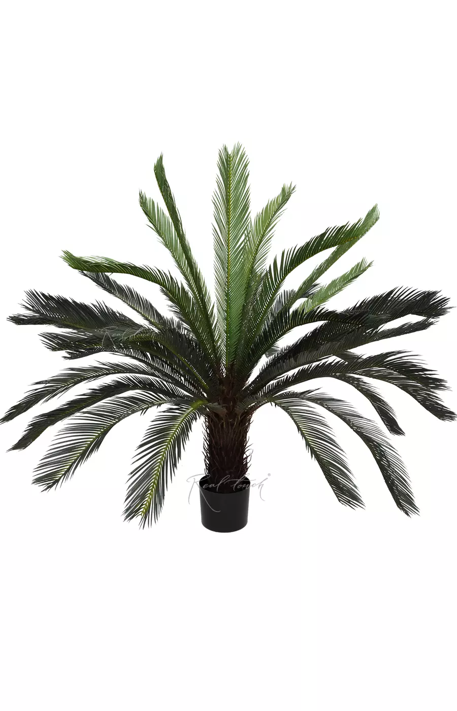 Пальма Цикас 125см - Зеленый