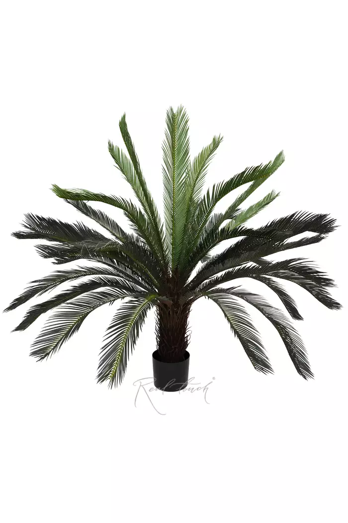 Пальма Цикас 125см - Зеленый