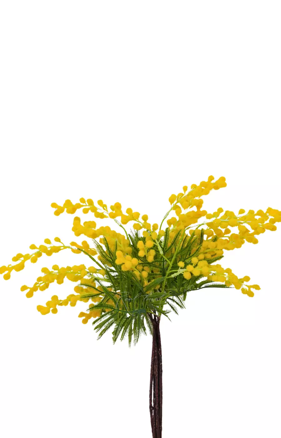 Мимоза пучок из 5 шт - Желтый Мимоза пучок из 5 шт - Желтый