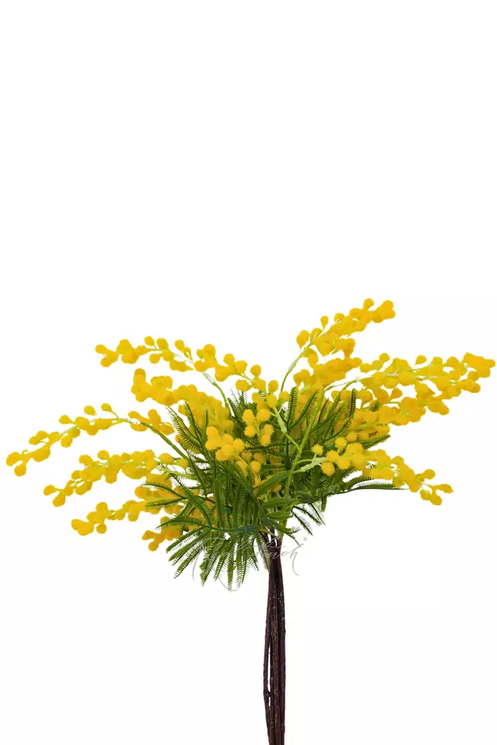 Мимоза пучок из 5 шт - Желтый Мимоза пучок из 5 шт - Желтый