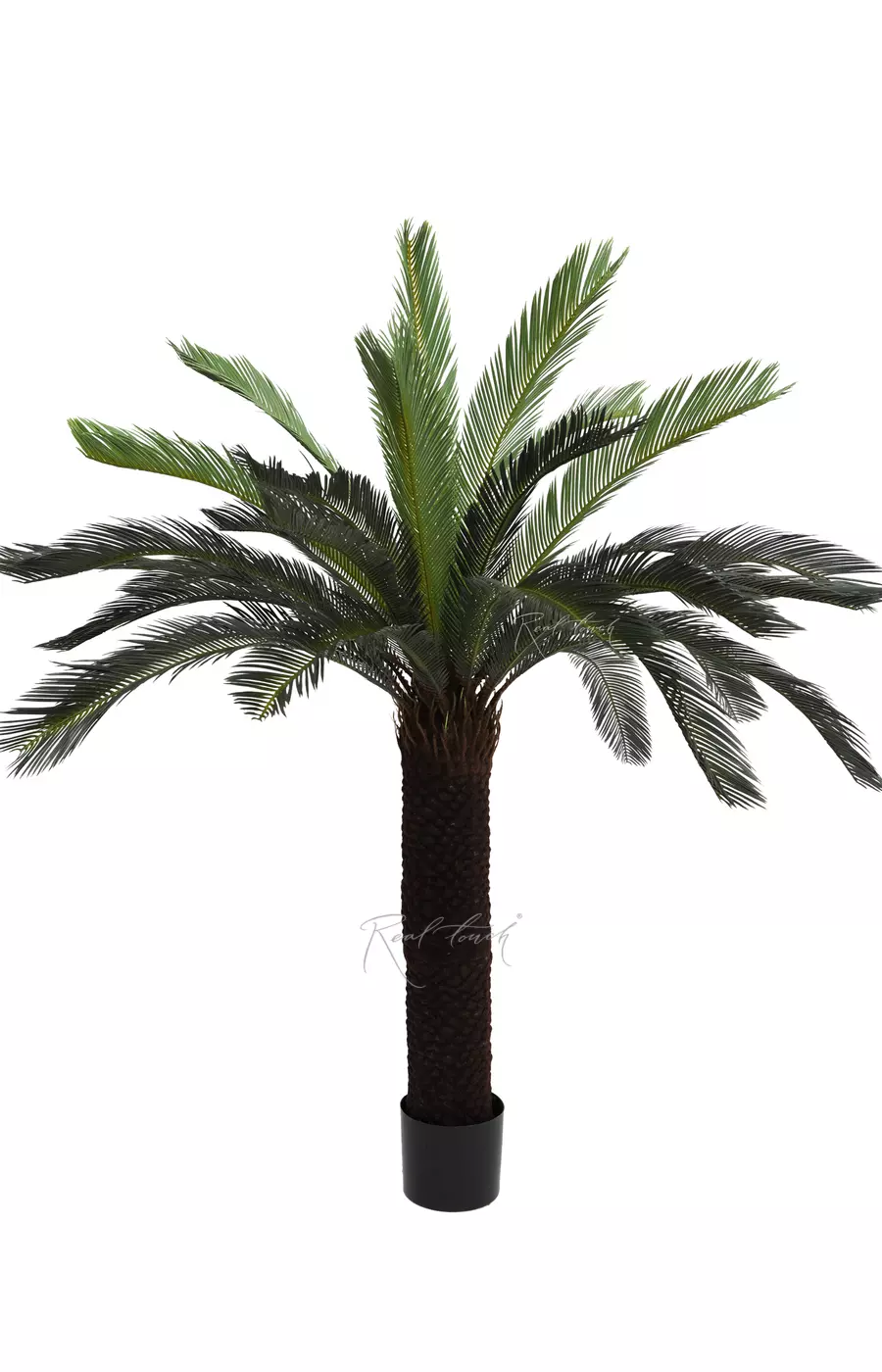 Пальма Цикас 165см - Зеленый