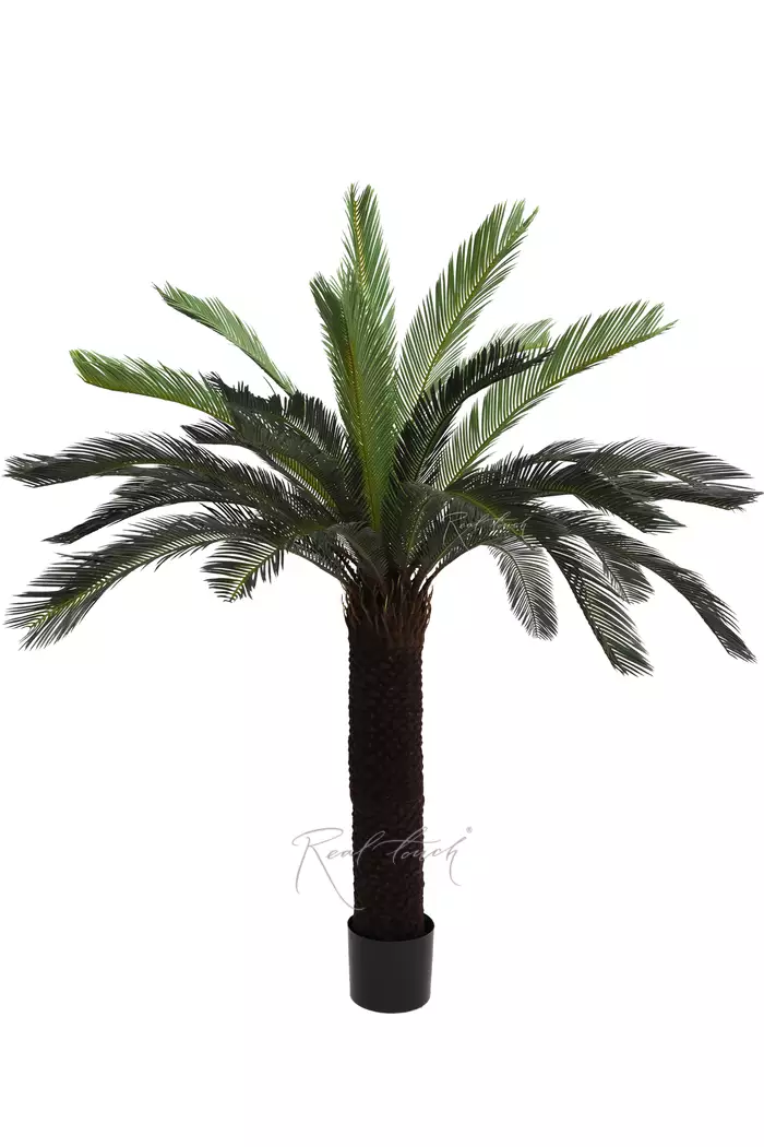 Пальма Цикас 165см - Зеленый Пальма Цикас 165см - Зеленый
