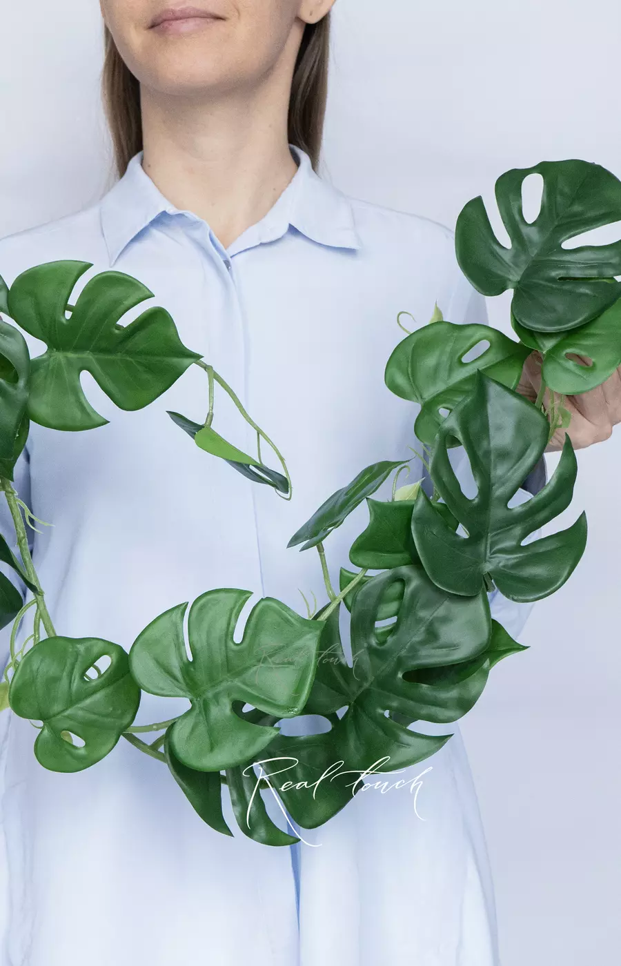 Монстера лиана - Зеленый