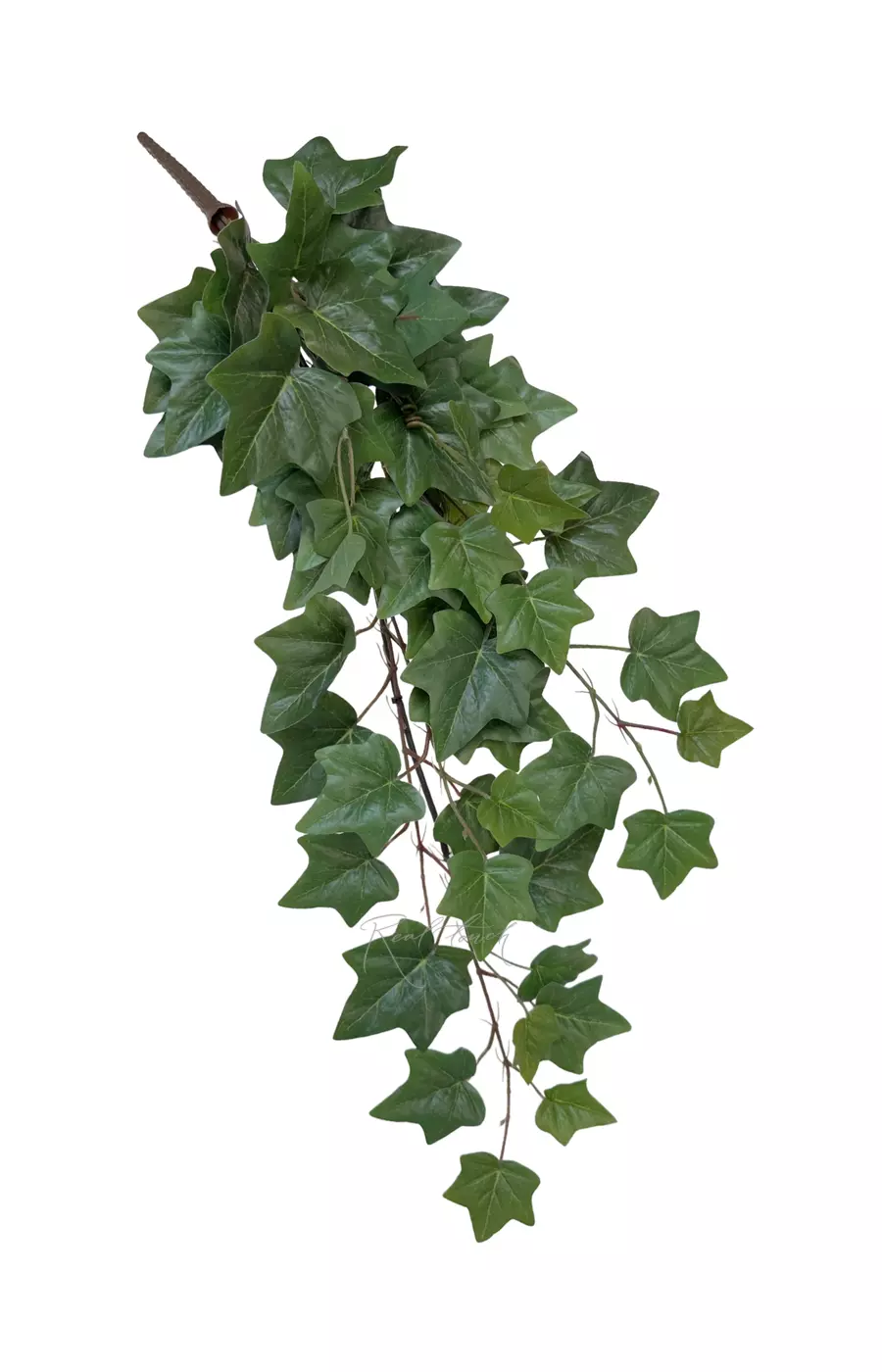 Плющ куст малый 85 см - Зеленый