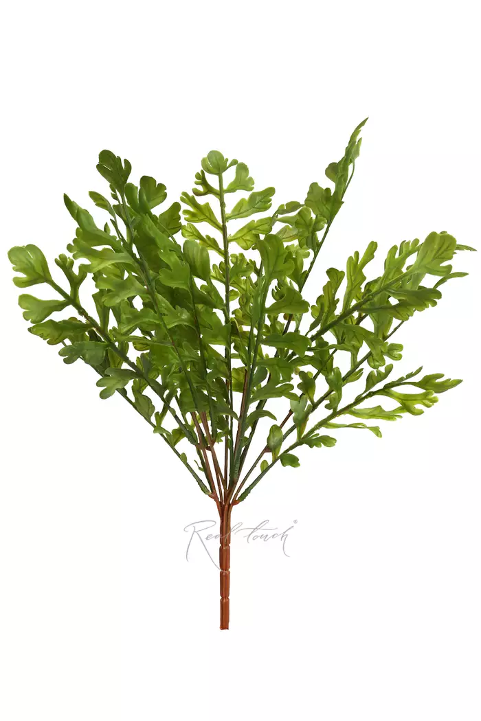 Зелень 6 - Зеленый