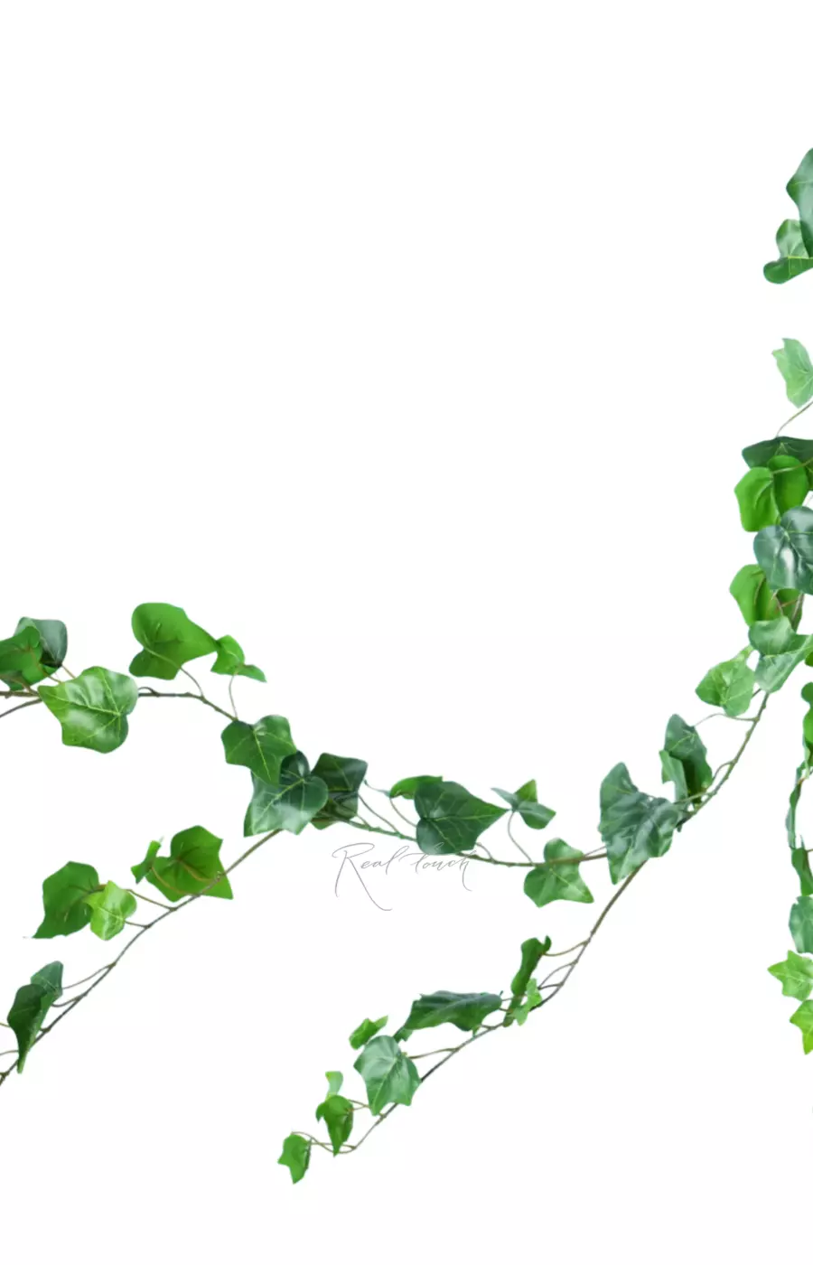 Плющ-лиана 180 см - Зеленый