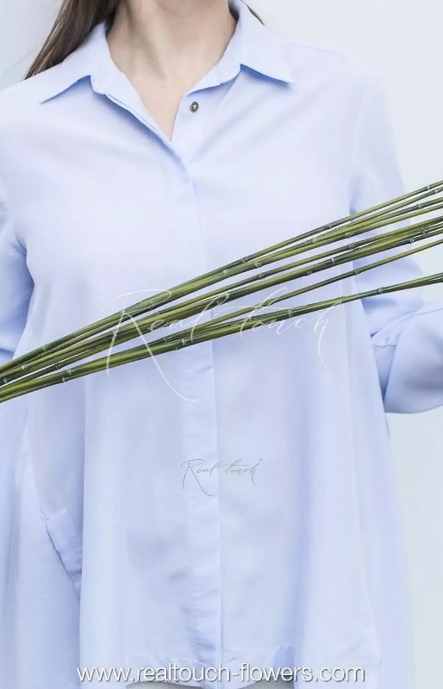 Пучок длинного бамбука (12шт. в пучке) - Зеленый Пучок длинного бамбука (12шт. в пучке) - Зеленый