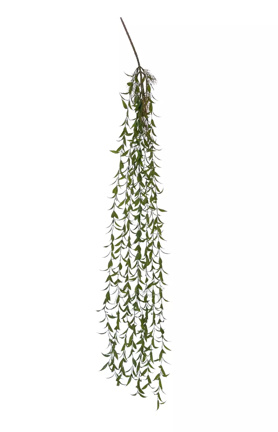 Ива узколистная ампельная 127 см - Зеленый