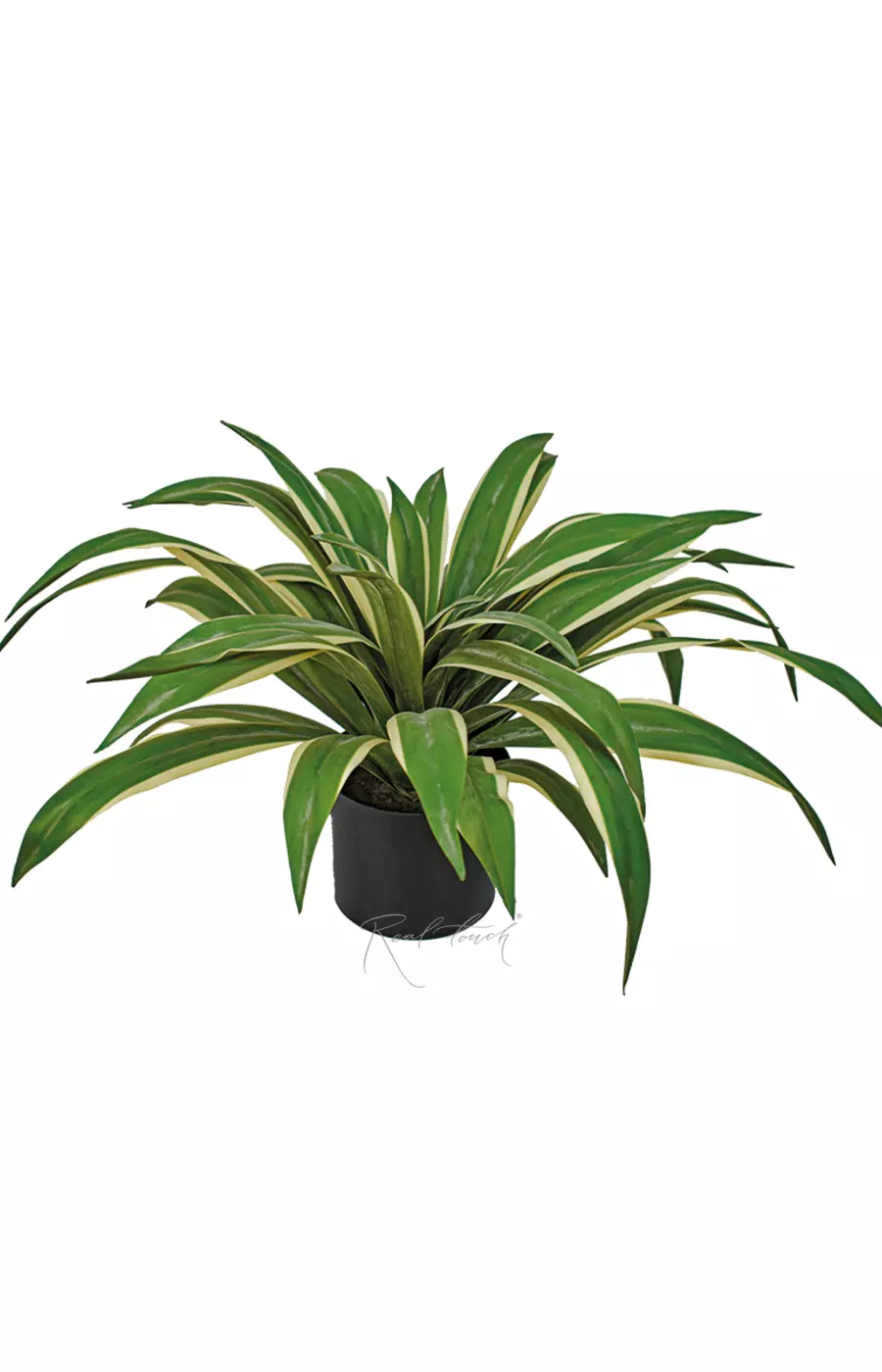 Юкка глариоза из 44 листьев в кашпо (48см) - Зеленый Юкка глариоза из 44 листьев в кашпо (48см) - Зеленый