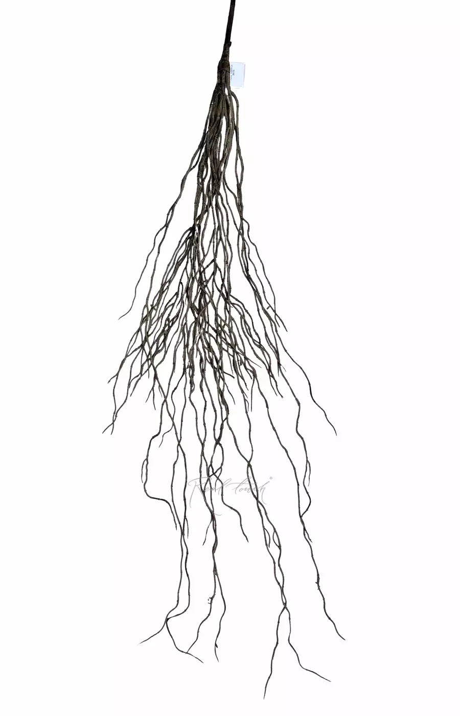 Корни - Коричневый