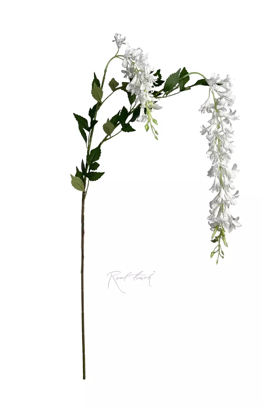 Глициния 113см - Белый