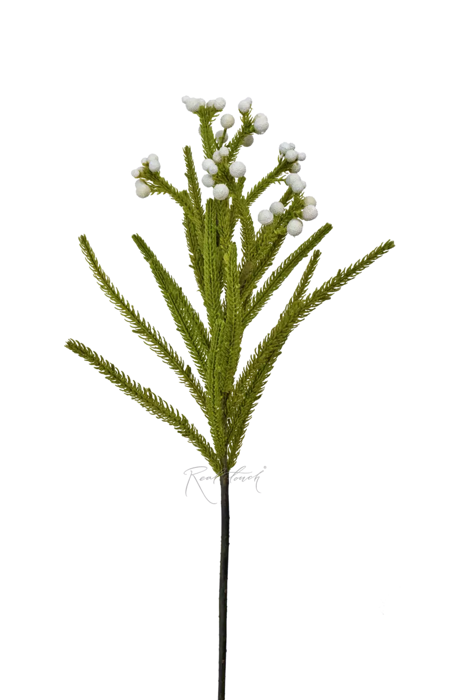 Бруния - Бело-зеленый Бруния - Бело-зеленый