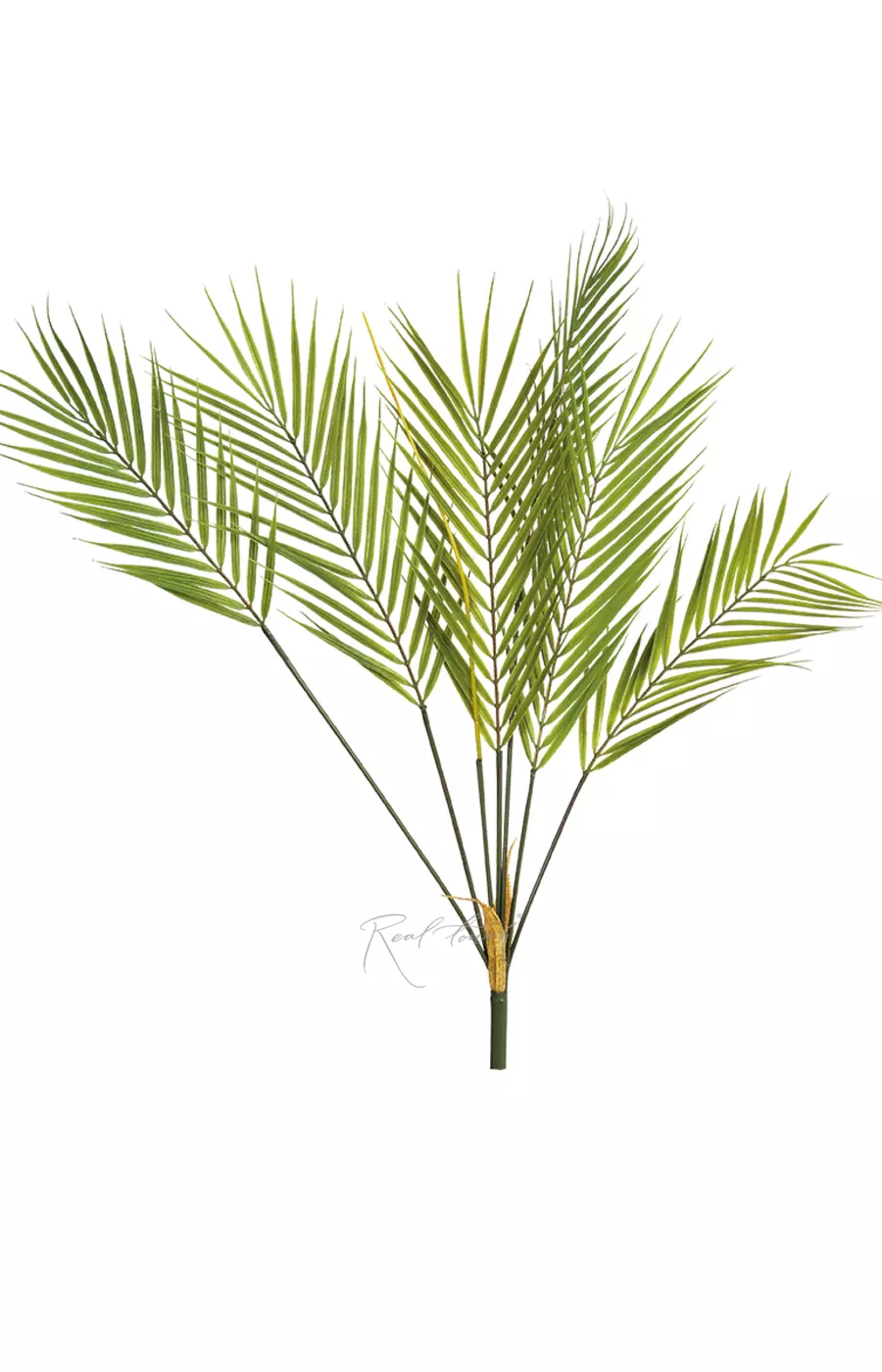 Куст Пальмы Арека 75см (6 веточек) - Зеленый