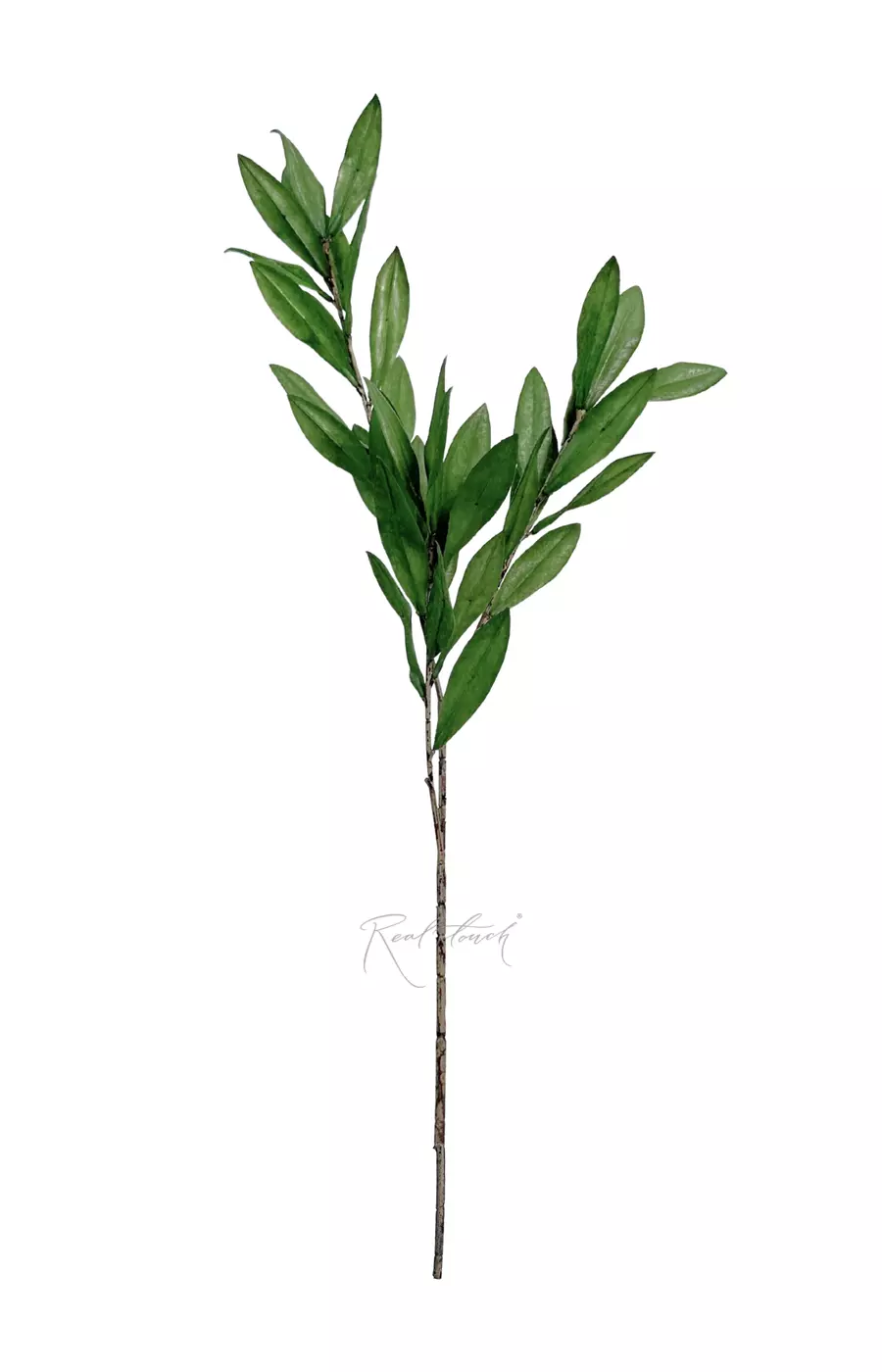 Ветка оливы 70 см - Темно-зеленый