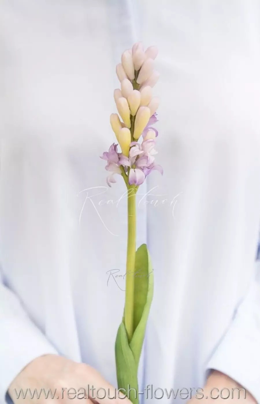 Гиацинт закрытый - Светло-фиолетовый