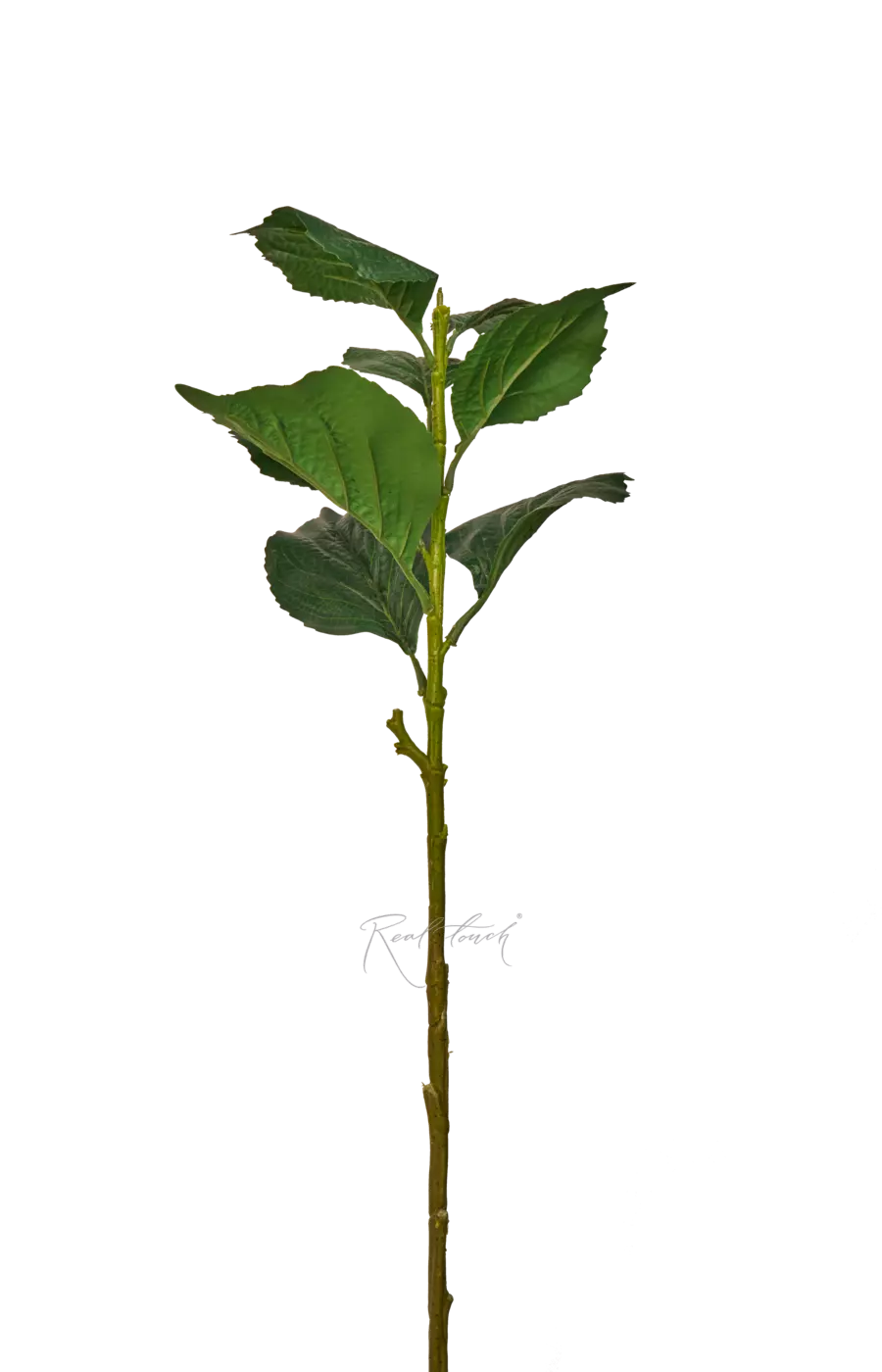 Стебель для гортензии высокий - Зеленый