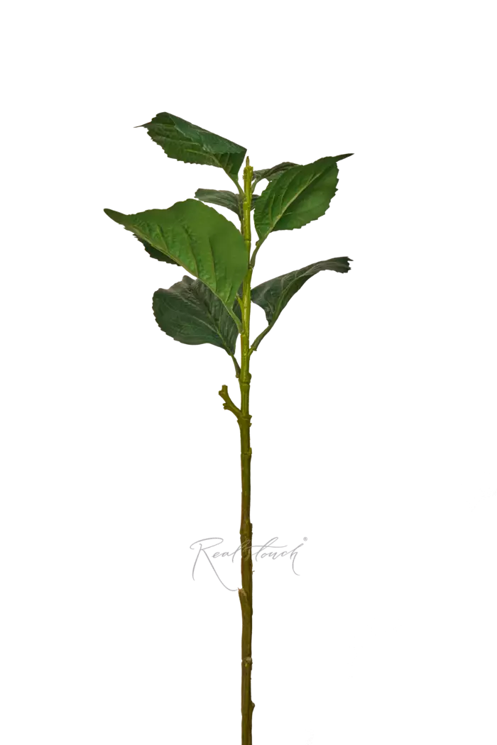 Стебель для гортензии высокий - Зеленый Стебель для гортензии высокий - Зеленый