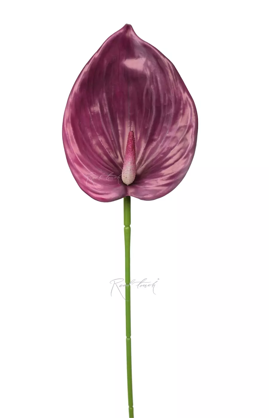 Антуриум 3D - Темно-фиолетовый