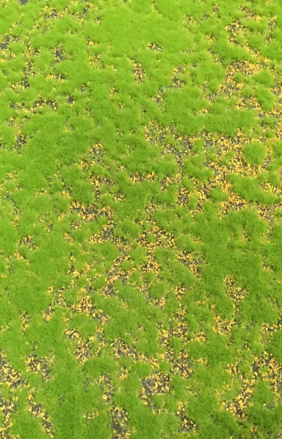 Коврик мха на войлоке 043, 1*1 м - Зеленый