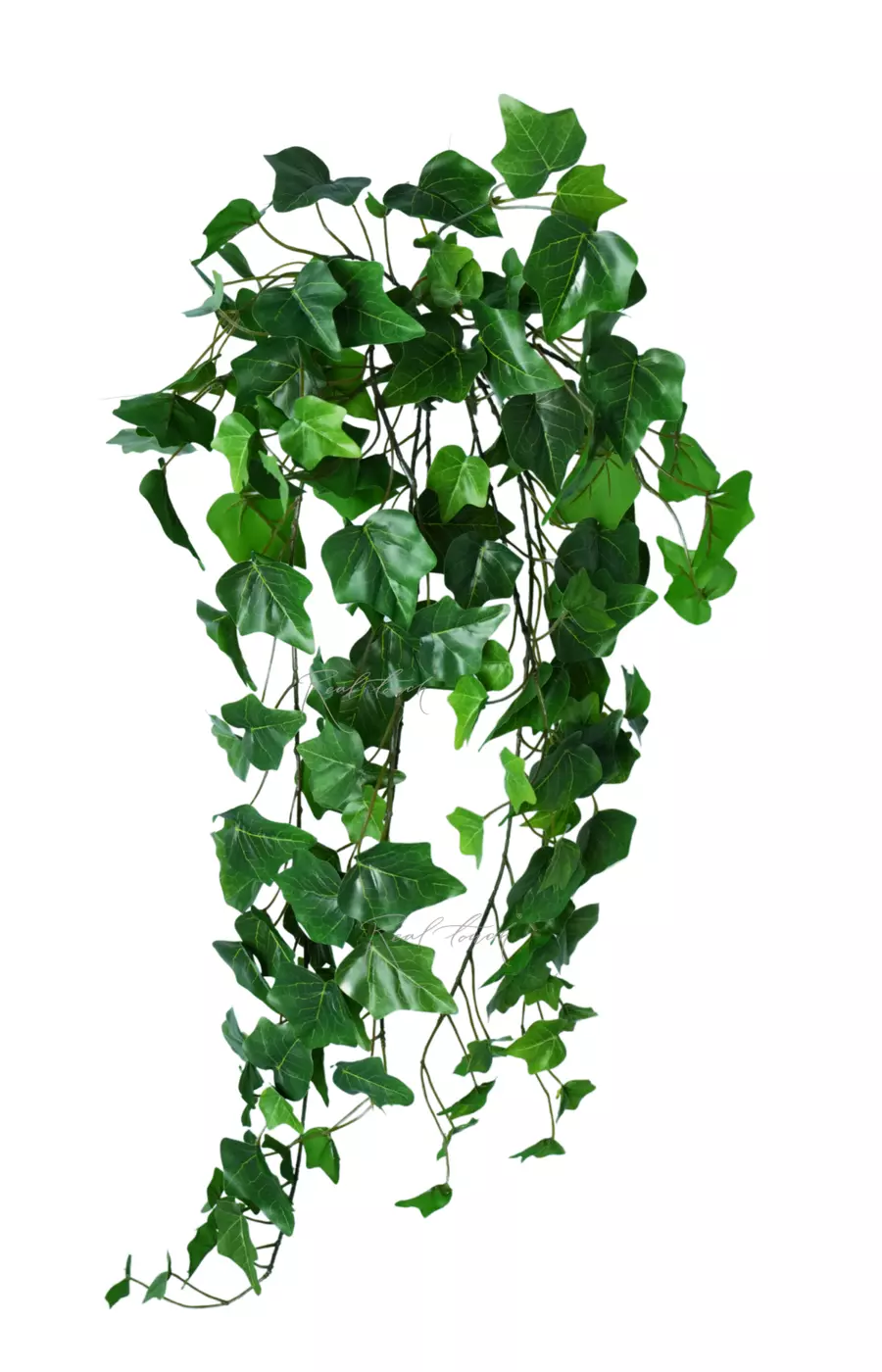 Плющ-куст 70 см - Зеленый